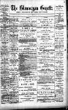 Glamorgan Gazette Friday 01 February 1895 Page 1