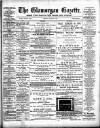 Glamorgan Gazette Friday 21 June 1895 Page 1