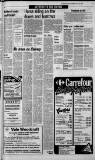 Glamorgan Gazette Thursday 15 April 1976 Page 7