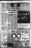 Glamorgan Gazette Thursday 01 April 1982 Page 17