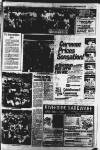 Glamorgan Gazette Thursday 12 August 1982 Page 15
