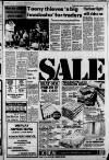 Glamorgan Gazette Thursday 10 February 1983 Page 13