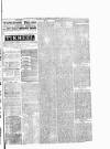 Batley News Saturday 14 April 1883 Page 3