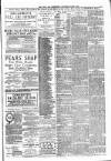 Batley News Saturday 07 March 1891 Page 3