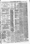 Batley News Saturday 04 April 1891 Page 3