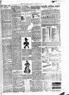 Batley News Friday 15 January 1897 Page 11