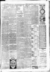 Batley News Saturday 13 January 1900 Page 9
