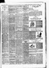 Batley News Saturday 20 January 1900 Page 3