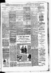 Batley News Saturday 03 February 1900 Page 3