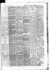Batley News Saturday 03 February 1900 Page 5