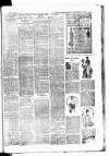 Batley News Saturday 03 February 1900 Page 9