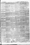 Batley News Saturday 14 April 1900 Page 5