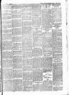 Batley News Saturday 12 May 1900 Page 5