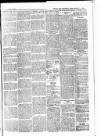 Batley News Saturday 30 June 1900 Page 5