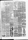 Batley News Saturday 28 July 1900 Page 3