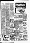 Batley News Saturday 28 July 1900 Page 11