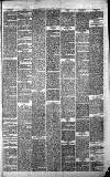 Merthyr Express Saturday 16 September 1865 Page 3