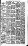 Merthyr Express Saturday 25 September 1875 Page 3