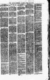 Merthyr Express Saturday 19 February 1876 Page 3