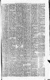 Merthyr Express Saturday 25 May 1878 Page 7