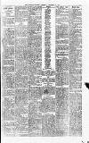 Merthyr Express Saturday 28 December 1878 Page 3