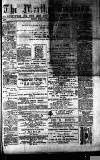 Merthyr Express Saturday 04 January 1879 Page 1