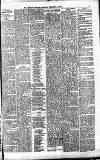 Merthyr Express Saturday 01 February 1879 Page 3