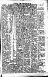Merthyr Express Saturday 01 February 1879 Page 5
