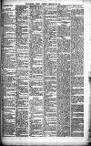Merthyr Express Saturday 28 February 1880 Page 3