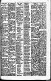 Merthyr Express Saturday 08 May 1880 Page 3
