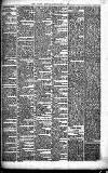 Merthyr Express Saturday 15 May 1880 Page 3