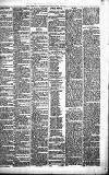 Merthyr Express Saturday 22 May 1880 Page 3