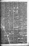 Merthyr Express Saturday 22 May 1880 Page 5