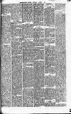 Merthyr Express Saturday 07 August 1880 Page 5