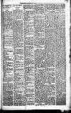 Merthyr Express Saturday 18 December 1880 Page 3