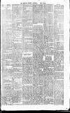 Merthyr Express Saturday 08 January 1881 Page 3