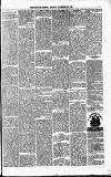 Merthyr Express Saturday 24 November 1883 Page 3