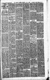 Merthyr Express Saturday 16 January 1886 Page 5