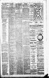 Merthyr Express Saturday 30 January 1886 Page 3
