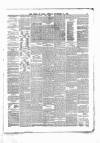 Times of India Friday 12 November 1875 Page 3