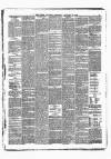 Times of India Saturday 19 January 1878 Page 3
