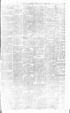 South Wales Gazette Friday 17 January 1890 Page 3