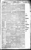 South Wales Gazette Friday 11 January 1901 Page 3