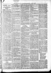 Barmouth & County Advertiser Wednesday 25 March 1891 Page 3