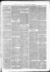 Barmouth & County Advertiser Wednesday 20 May 1891 Page 3