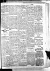 Barmouth & County Advertiser Wednesday 03 January 1894 Page 5