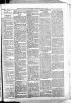 Barmouth & County Advertiser Wednesday 31 January 1894 Page 7