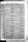 Barmouth & County Advertiser Wednesday 07 February 1894 Page 3