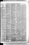 Barmouth & County Advertiser Wednesday 21 February 1894 Page 6