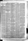 Barmouth & County Advertiser Wednesday 20 June 1894 Page 7